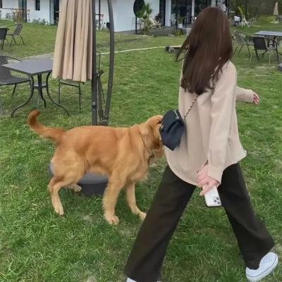 志愿者